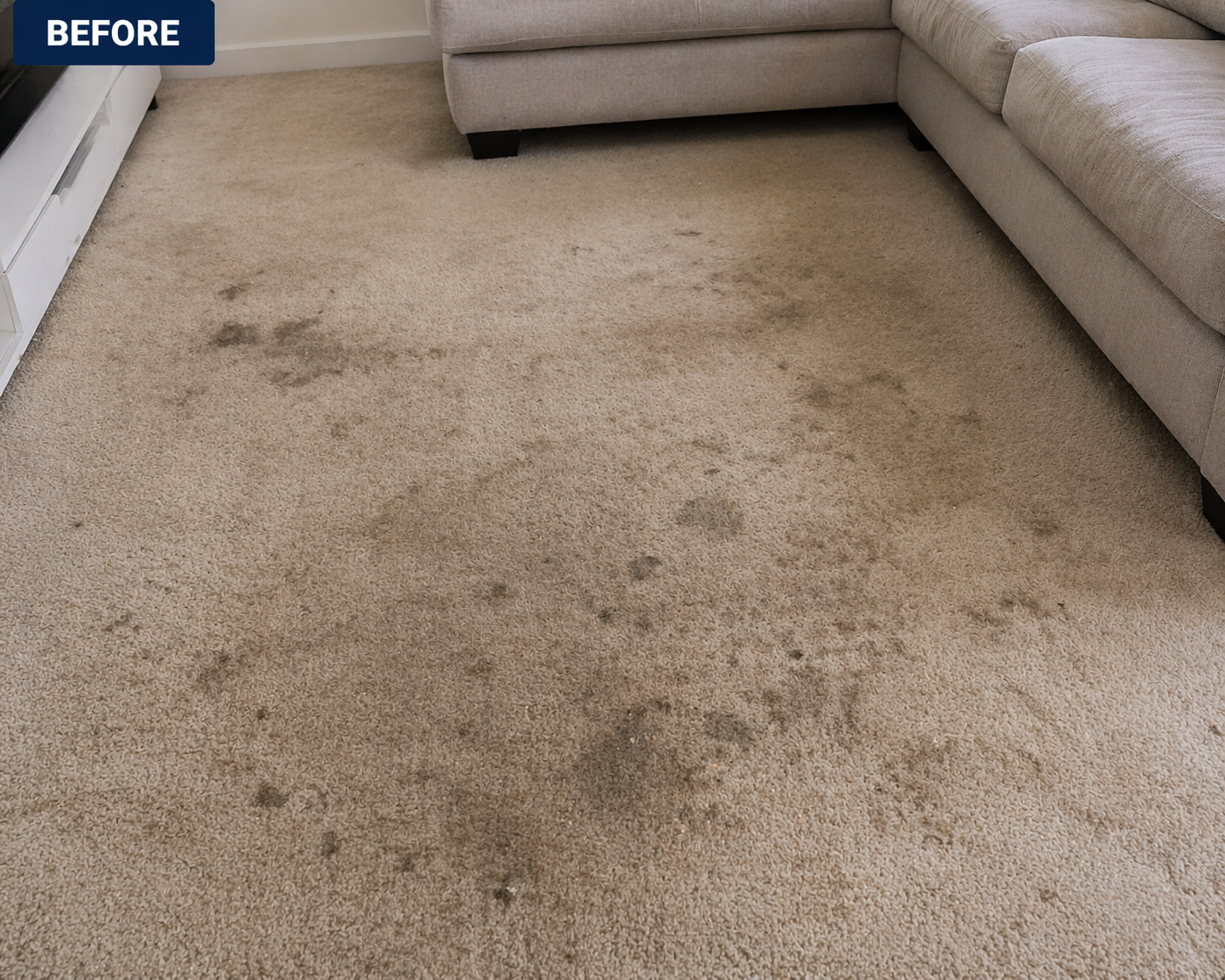 Carpet Clean before
