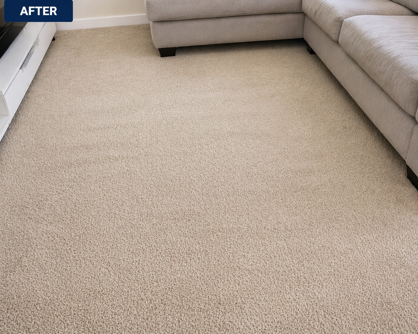 Carpet Clean after